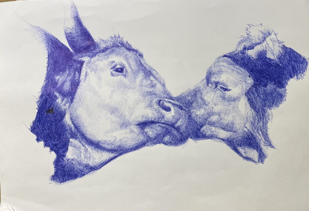 dessin au stylo bic